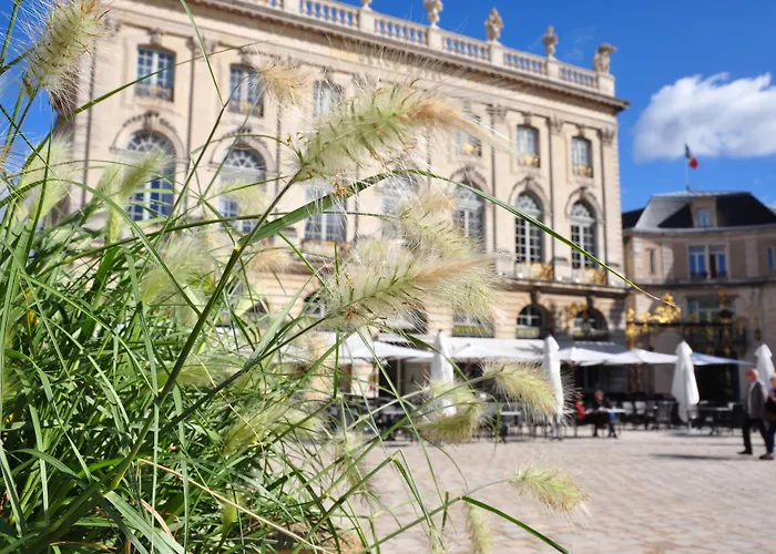 Grand De La Reine - Place Stanislas Nancy
